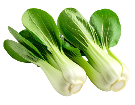 Fresh bok choy with vibrant green leaves.