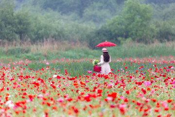 A riverfront view on a spring day full of red poppies, cornflower, babys breath and spring flowers....