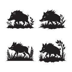 Wild Boar Charging In Forest Path