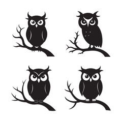 Owl Perched Quietly On Tree Branch