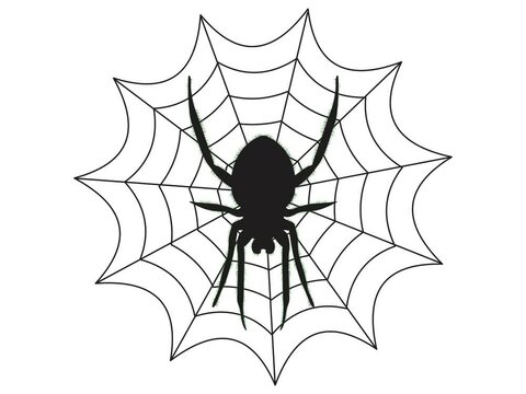 Animation of a spider hanging in the center of a classic spider web on a white background, perfect for Halloween and horror elements.