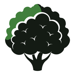 silhouette cauliflower on white background