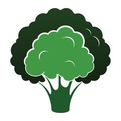 silhouette cauliflower on white background