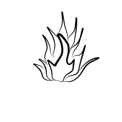 Abstract shape of fire 