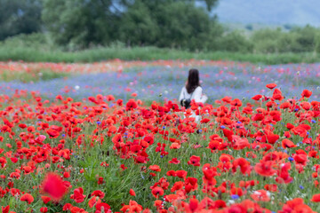 A riverfront view on a spring day full of red poppies, cornflower, babys breath and spring flowers....