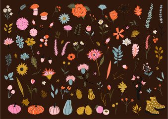 Set of isolated autumn fall themed botanical elements like flowers, leaves, stems, pumpkin, gourds, mushroom in vibrant colors. Hand drawn vector clipart for stickers, logo, social media, icons etc. 