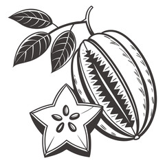  silhouette carambola on white background