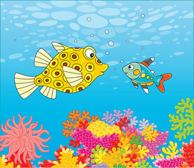 Naklejka premium Funny boxfish and an x-ray fish swimming in blue water of a colorful coral reef in a tropical sea, vector cartoon illustration