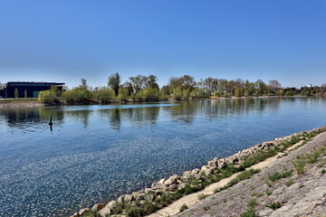 Der Rhein in Breisach bei Niedrigwasser