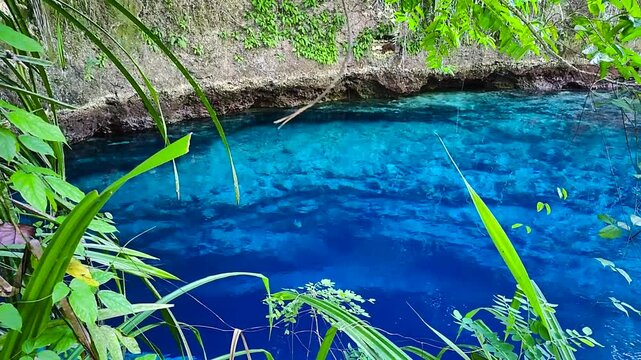 Blue water in Enchanted River surrounded by green plants. Hinatuan, Surigao del Sur. Philippines.