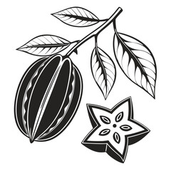  silhouette carambola on white background