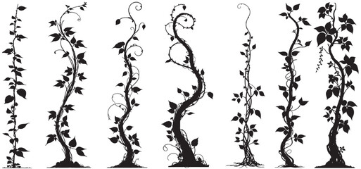 Obraz premium Jungle creeper silhouettes. Tropical forest lianas, rainforest hanging sprouts. Climbing liana vines set vector