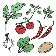 Hand drawn vegetable illustration collection