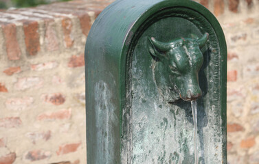 typical fountain of drinking water  in Turin City in Northern Italy with dark green head of bull in cast-iron