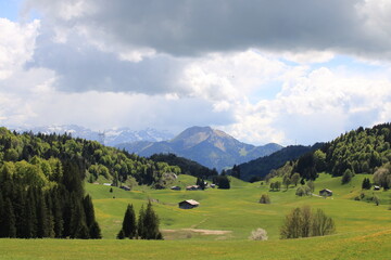 prairies  alpestres fleuries au printemps et chalets en bois traditionnels de montagne,  avec vue sur les massifs montagneux, sur le plateau de Plaine Joux, dans le Chablais en Haute-Savoie