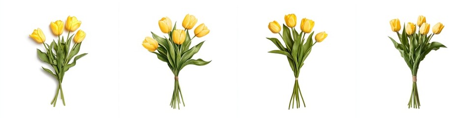 Fototapeta premium A bouquet of yellow tulips, isolate on white background. Collection.