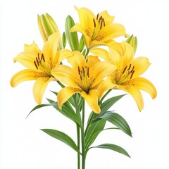Obraz premium A bouquet of yellow lilies, isolate on white background.