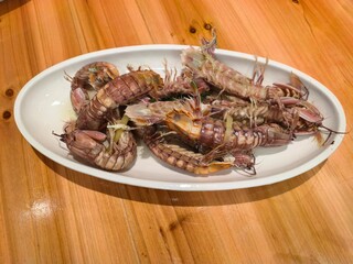 Mantis shrimp
