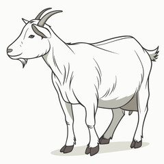 Obraz premium White goat isolated on a white background a cute farm animal vector illustration