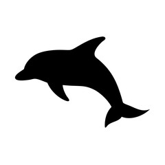 dolphin isolated on white background