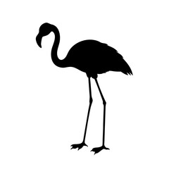 Obraz premium vector illustration of a pink flamingo