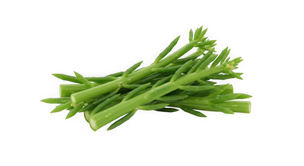 Fototapeta premium Crisp, Vibrant Samphire: Culinary & Nutritional Aspects of Sea Asparagus