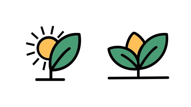 A Sprouting Plant with Sunlight and a Blooming Flower with Green Leaves, representing growth, nature, agriculture