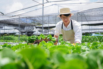 Obraz premium A man is working in a greenhouse, tending to the plants