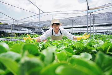 A man in a white shirt and a straw hat is bending over in a greenhouse