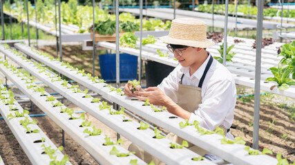 A man is tending to a row of plants in a greenhouse
