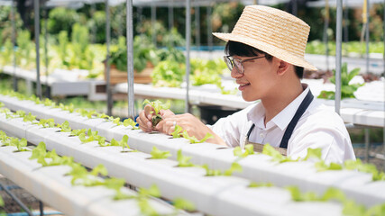 A man is tending to a row of plants in a greenhouse