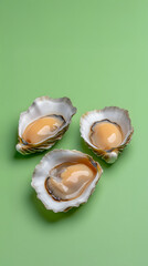 Fresh oysters on a bright green background food photography vibrant culinary art close-up view gourmet concept