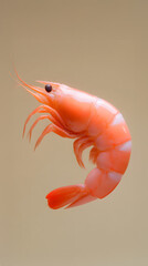 Shrimp harvesting process coastal waters food photography underwater environment close-up viewpoint seafood concept