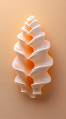 Shell collection display home decor photography warm tones close-up marine life aesthetics