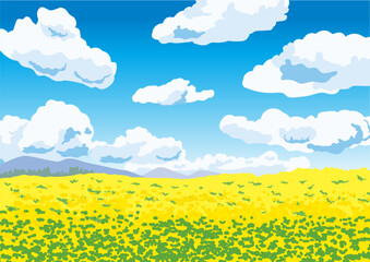 夏空　花畑　風景