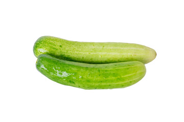 The Photo of a Thai vegetable, cucumber,, on a white background, taken with a 45Mp high resolution camera.