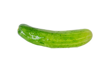 The Photo of a Thai vegetable, cucumber,, on a white background, taken with a 45Mp high resolution camera.