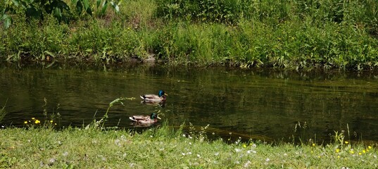 a beautiful view of the lake in the park