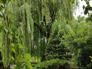beautiful view of the park