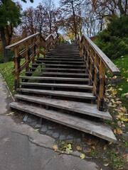Wooden stairs in park among fallen leaves
