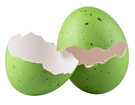 Broken Green Eggshell with Natural Texture and Soft Shadows, isolated on transparent background