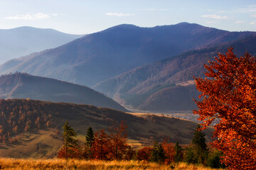 incredible autumn view, wonderful mountains scene, Carpathian mountains, place between Skole and Slavske resort, lviv region, Ukraine, Europe