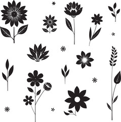 Fototapeta premium Black and White Floral Elements Collection