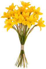 Vibrant Yellow Lent Lily Bouquet Fresh Spring Daffodils on White