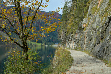 A gravel path winds along a rocky cliff, framed by vibrant autumn foliage. Shades of yellow, orange and green color the trees as they stretch toward a tranquil, misty mountain backdrop. Austria.