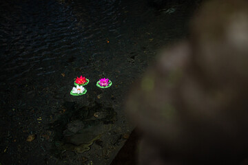 Vibrant colorful fake Lotus Flower Floating in Dark Water Creating a Striking Contrast and Serene...