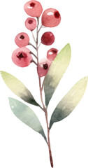 Obraz premium Watercolor painted cranberry. Hand drawn fresh food design element isolated on white background.