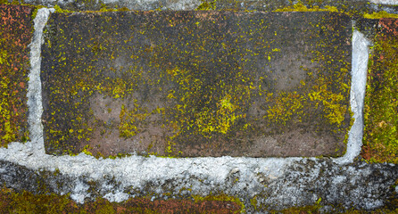 Realistic Weathered Clay Red Brick Wall Texture with Moss and Fungi. Ideal for Creative Project or Design.