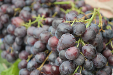 Freshly harvested grapes at a local market in autumn
