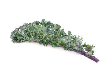 Purple kale leaves isolated on white background